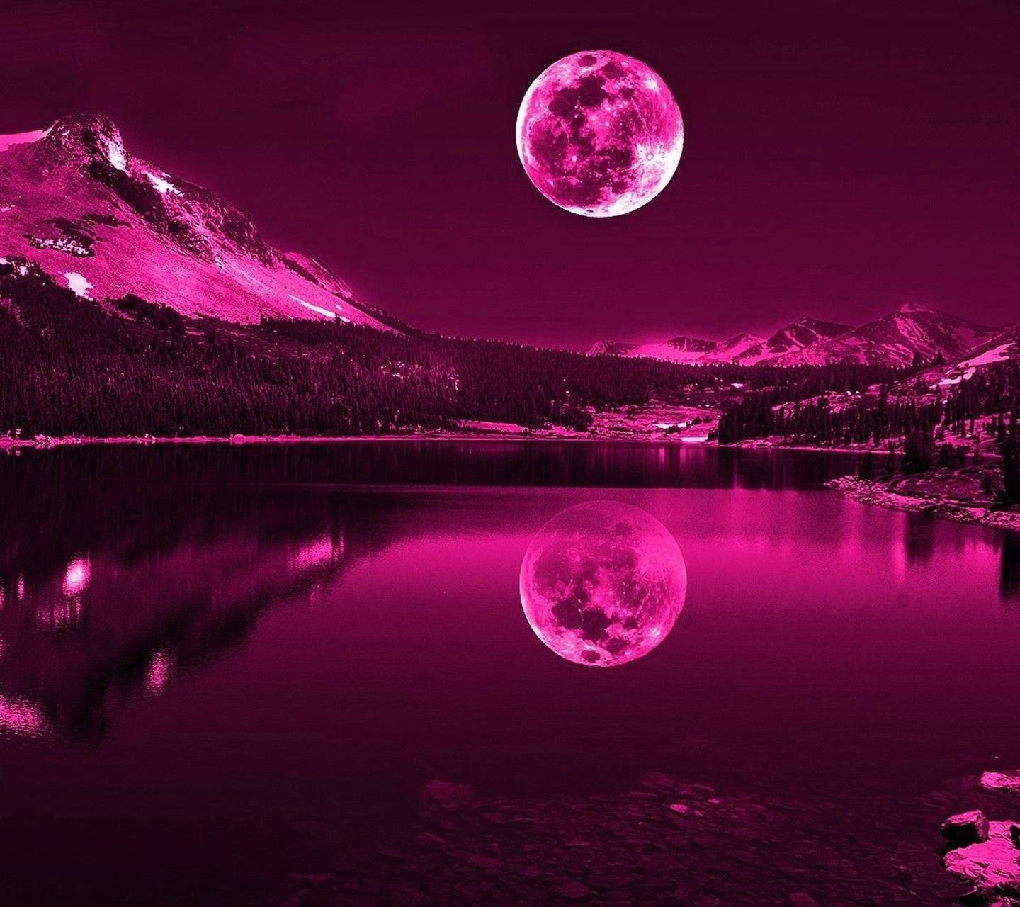 purple moon wallpaper by __JULIANNA__ .zedge.net