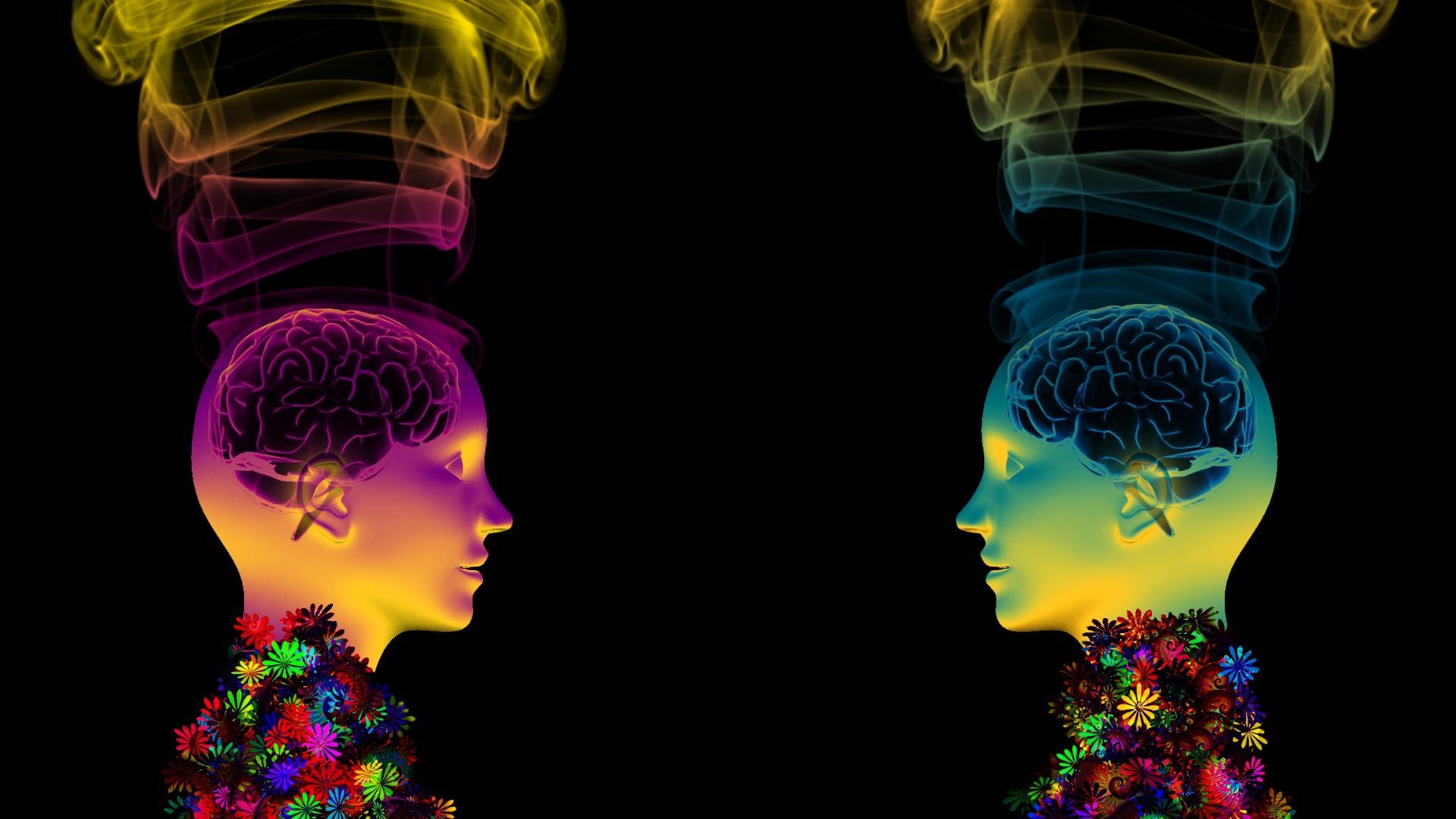 1000 Free Psychology  Brain Images  Pixabay