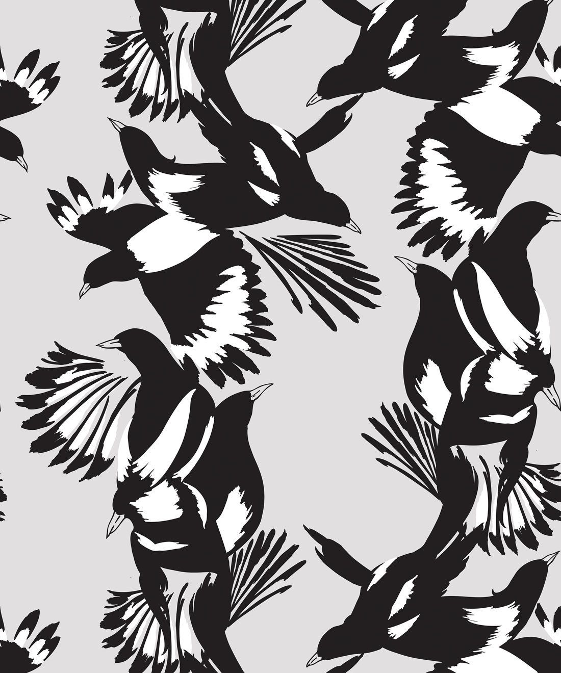 Magpie Wallpaper • Australian Bird .miltonandking.com · In stock