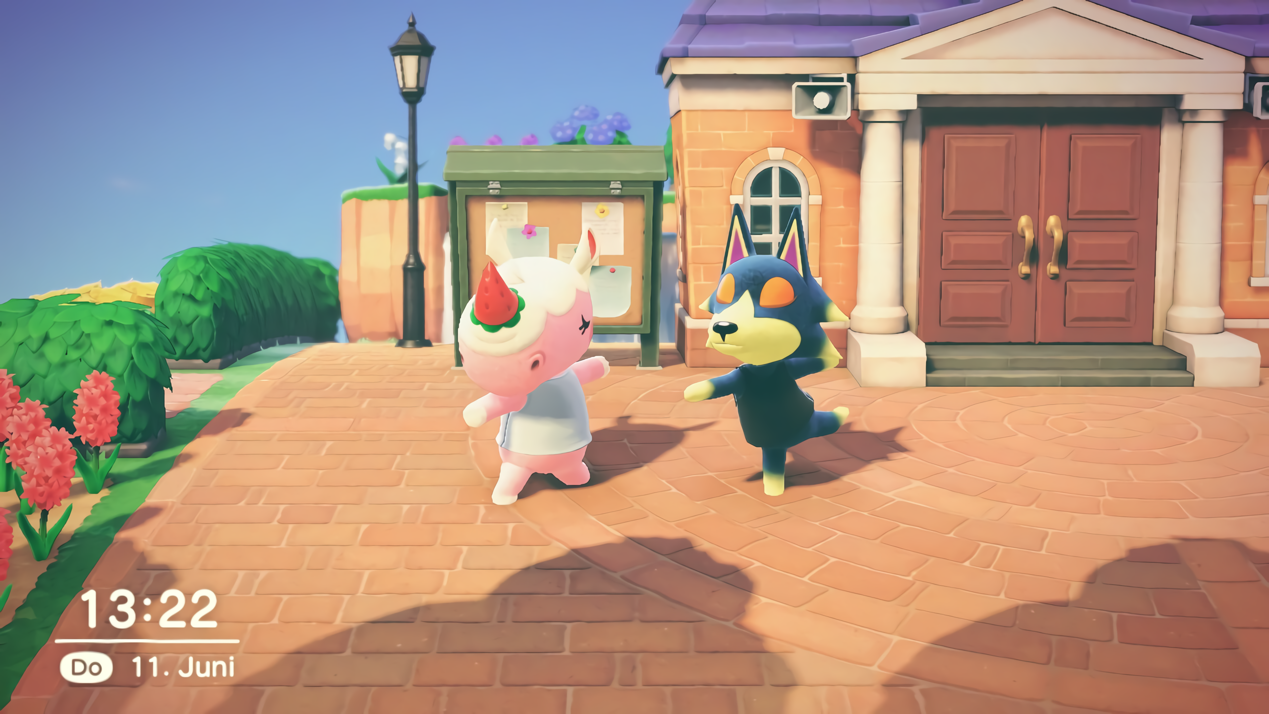 Picture of Merengue and Wolfgang doing .reddit.com