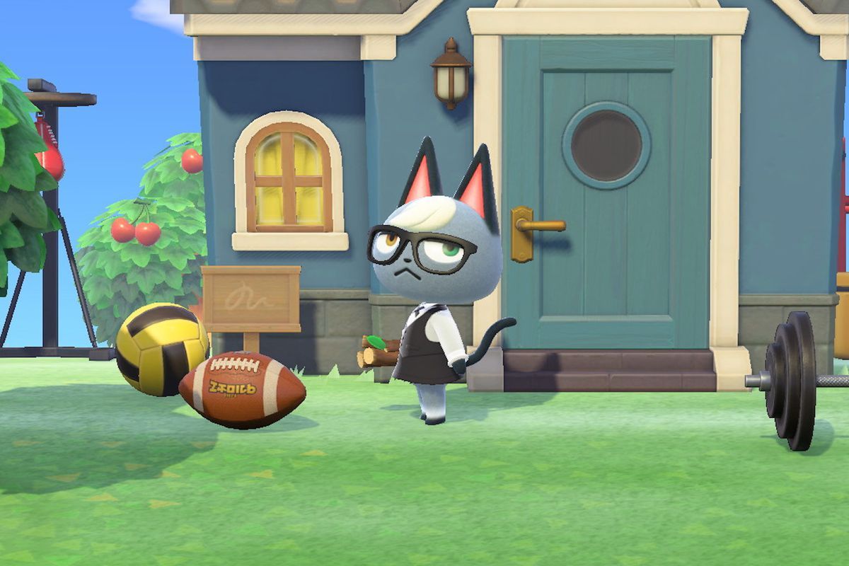 Animal Crossing: New Horizons hacker .polygon.com