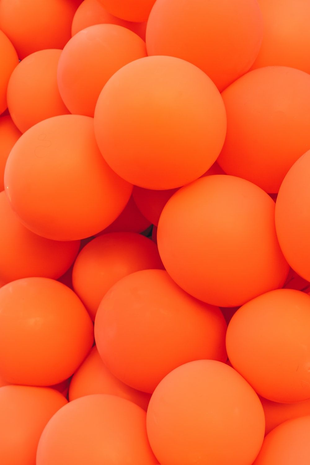 pink and orange balloons photo