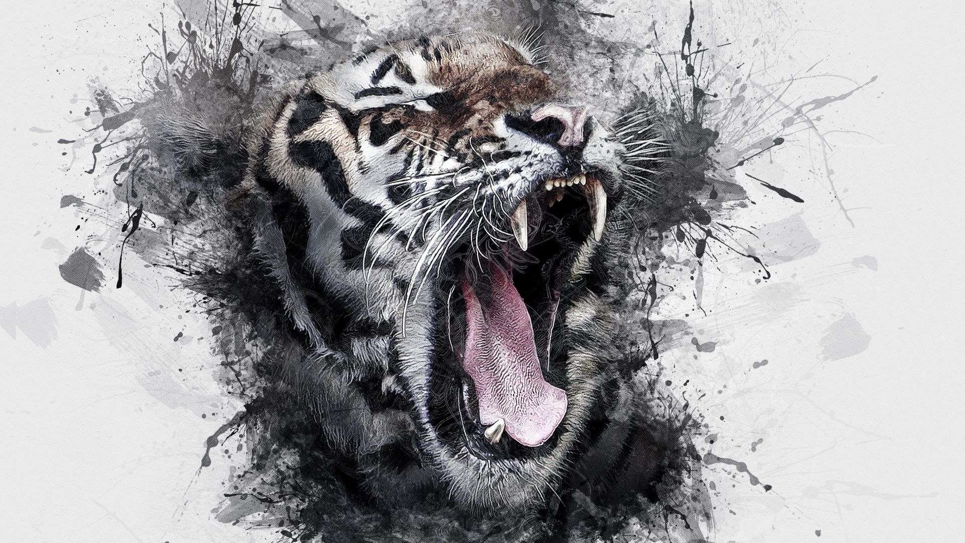 Beautiful 1080p Tiger Roar Wallpaper Photomobileewall.blogspot.com