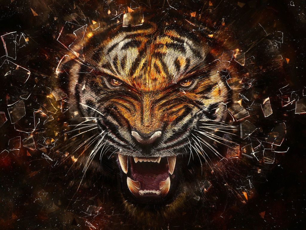 Tiger Roar Wallpapers - Wallpaper Cave