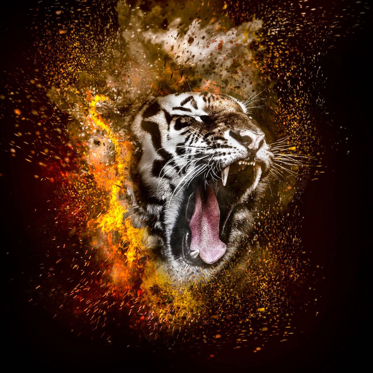 Tiger roar wallpaper by Mr_dare_devil27 .zedge.net