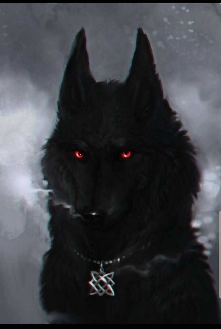 Red And Black Wolf Wallpapers - Wallpaper Cave