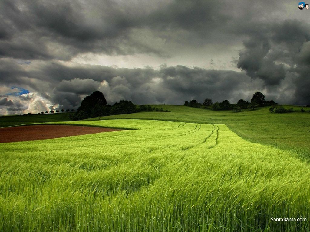 Tamil Nadu Wallpaper Free Tamil .wallpaperaccess.com