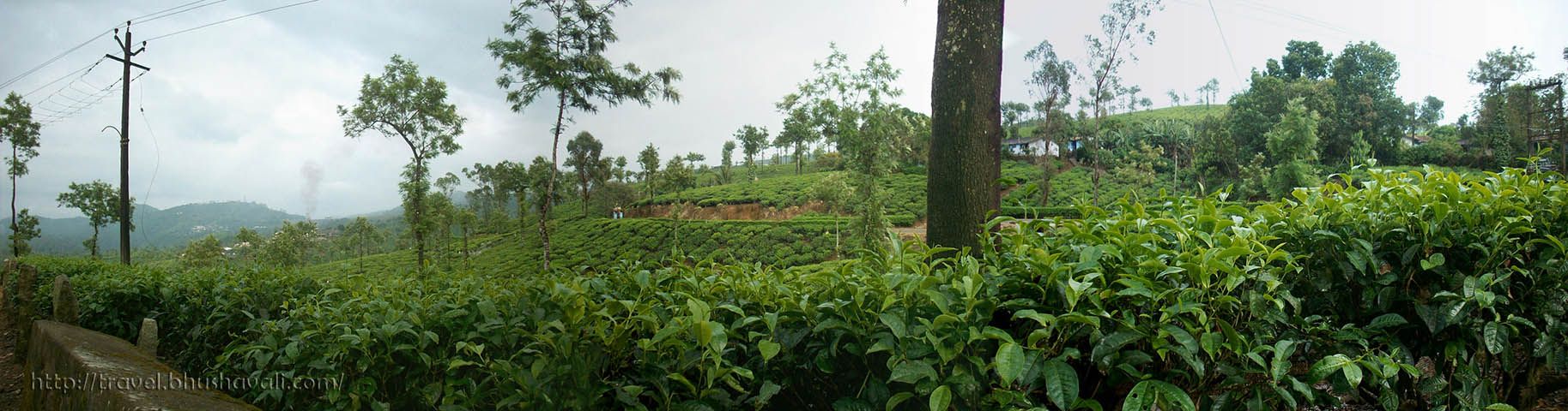 Vazhachal Forest & Athirapally Falls .travel.bhushavali.com