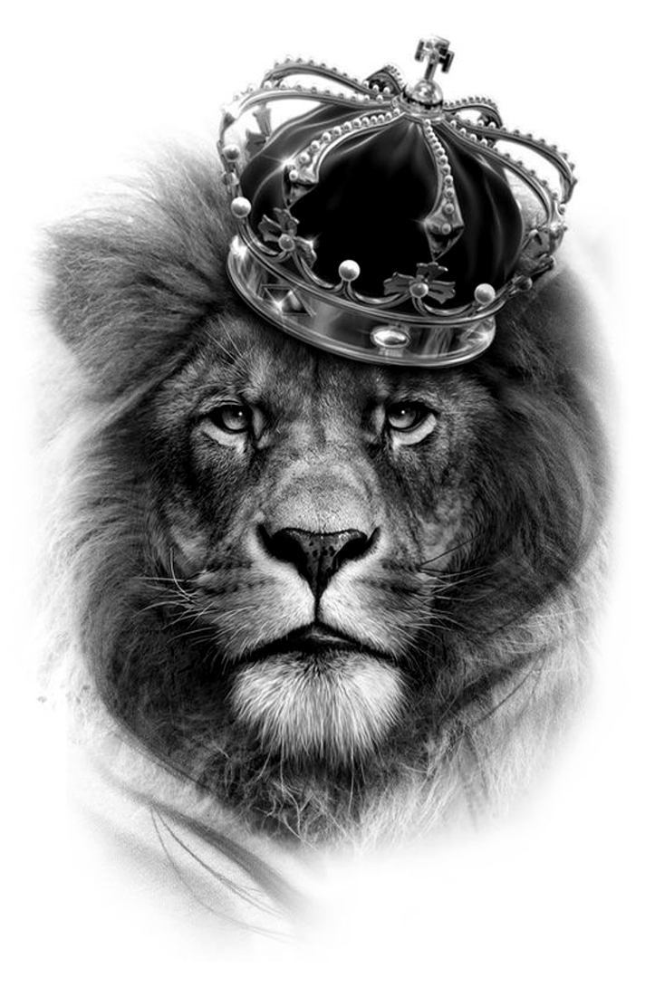 Lion With Crown Drawing.