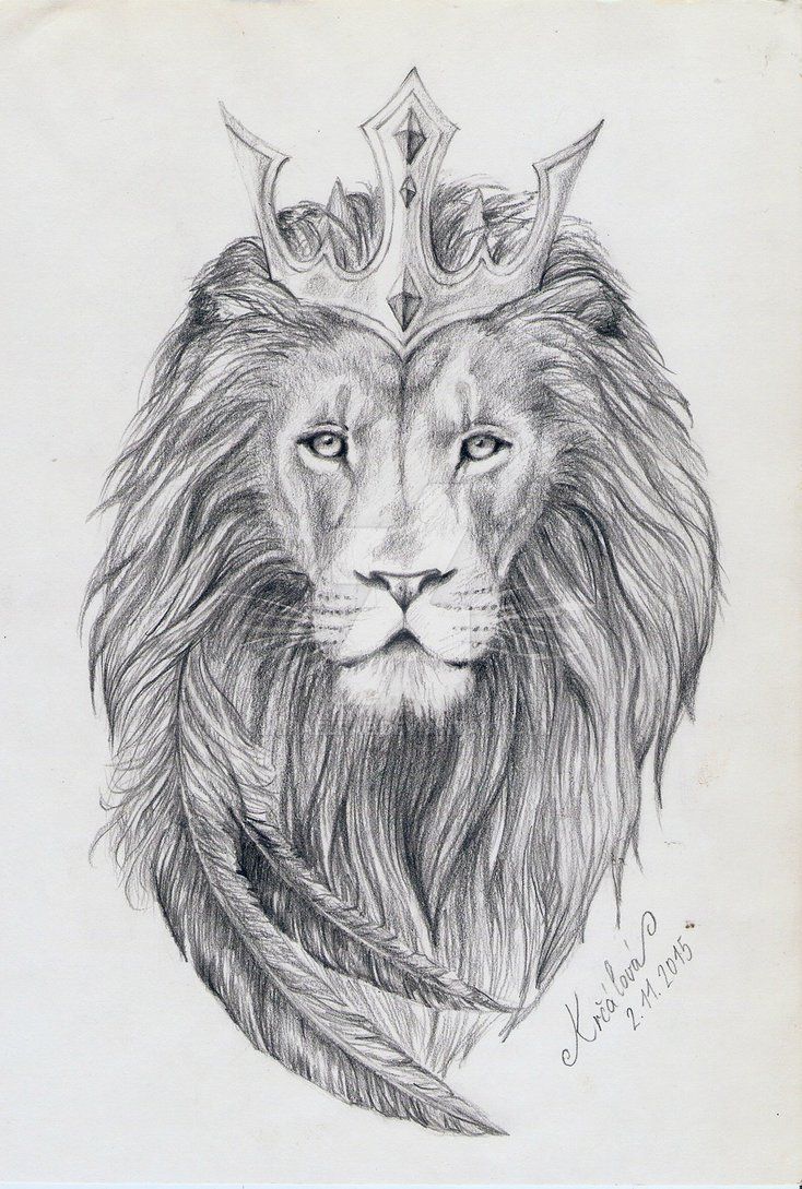 Tattoo design drawings, Lion sketch .br.com