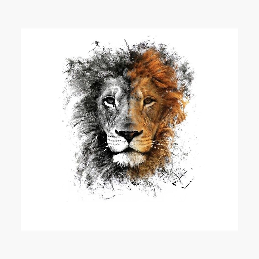 Lion image, Lion artbr.com