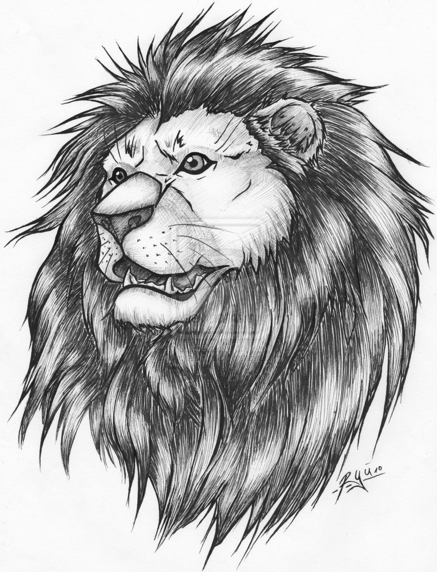 Lion Tattoo Wallpaper Hdwalpaperlist.com