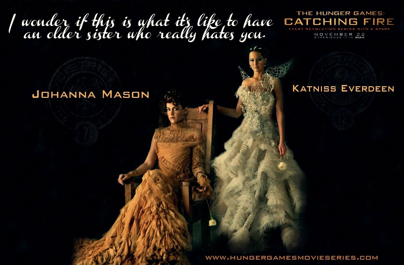 Catching Fire Movie Wallpaper The .com