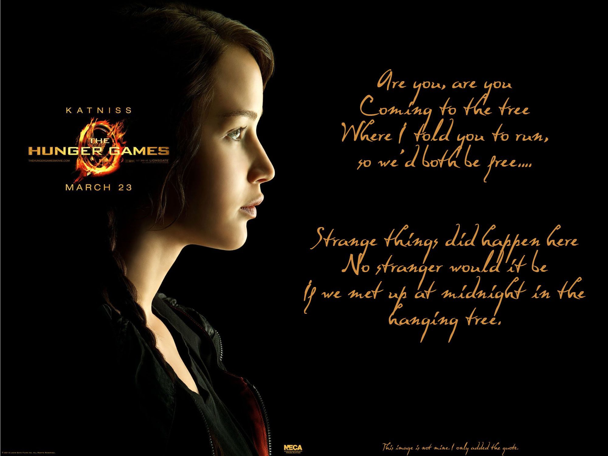 Hunger Games Quotes Wallpapers Wallpaper Cave