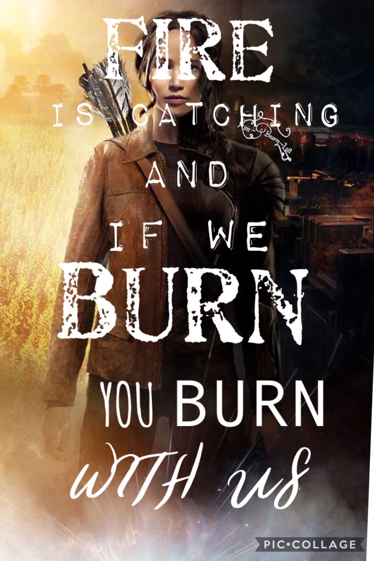 The Hunger Games Quotes Wallpapers Wallpaper Cave