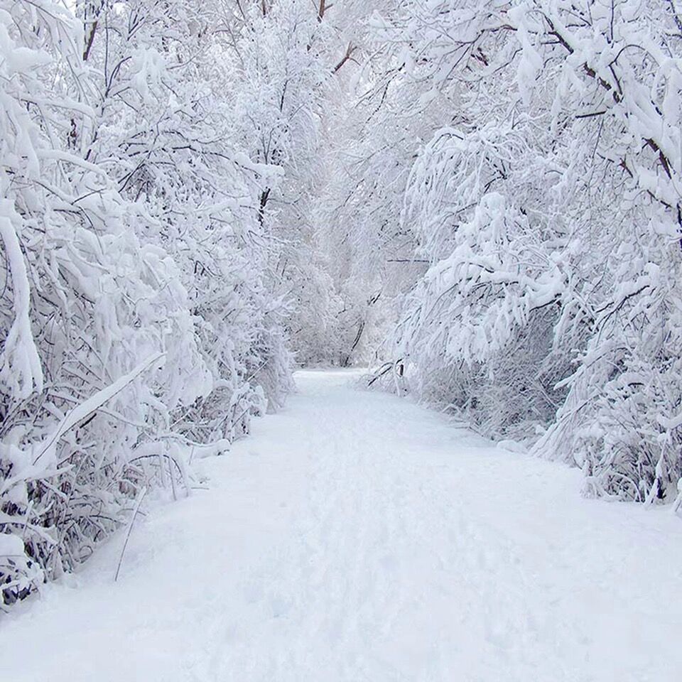Beautiful Winter Scenic Photography .aliexpress.com · In stock