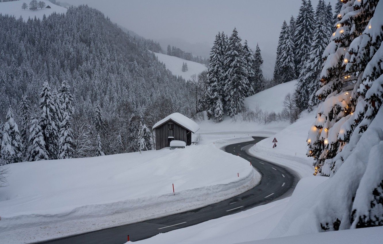 Wallpaper lights, forest, road .goodfon.com