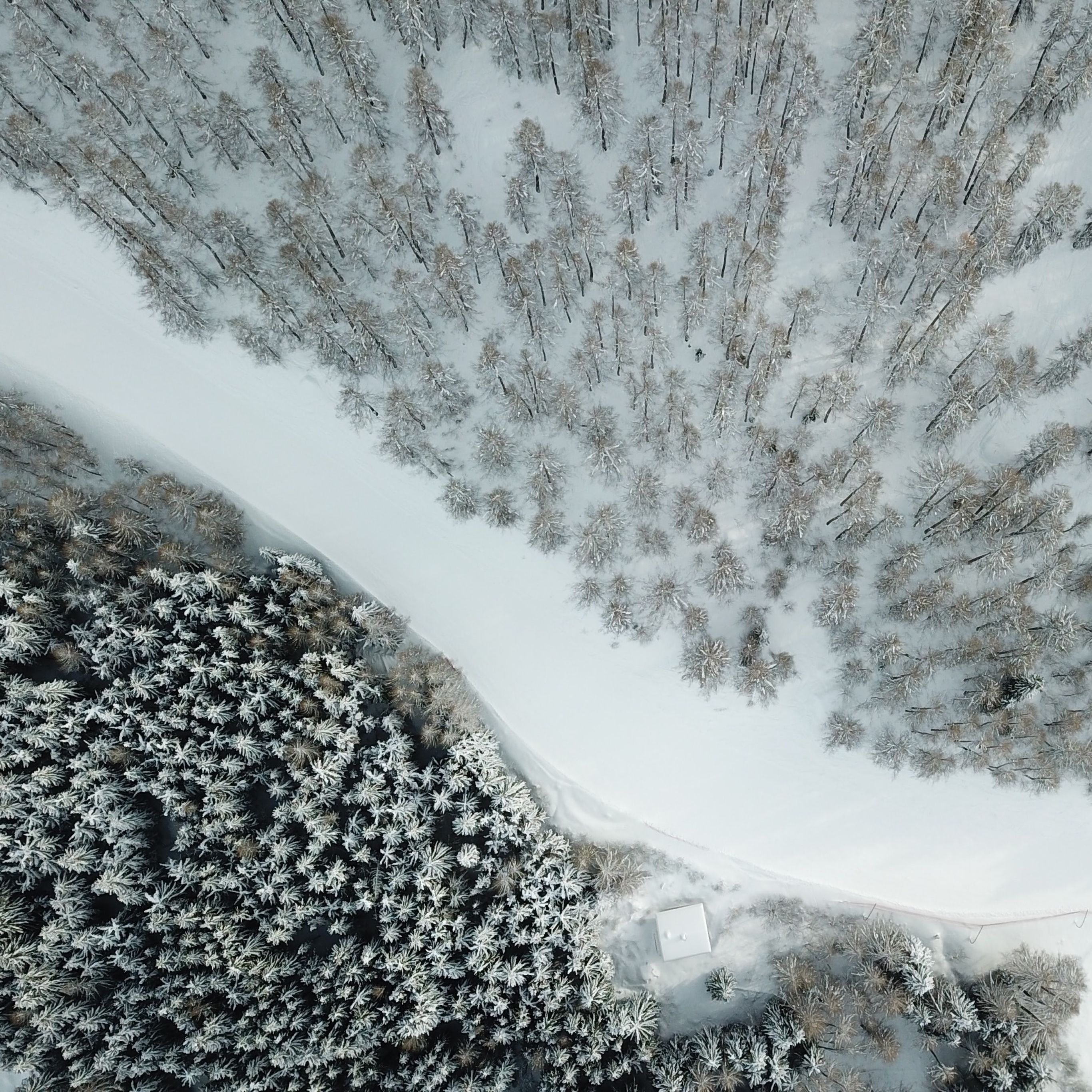 Snow wallpaper for iPhone and iPadidownloadblog.com