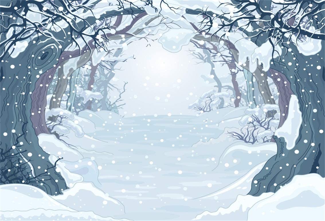 Amazon.com, CSFOTO 6x4ft Background Winter Forest Road Snow Covered Photography Backdrop Cartoon Dreamy Snowing Winter Scene Fairy Tale White World Child Kid Baby Portrait Photo Studio Props Polyester Wallpaper