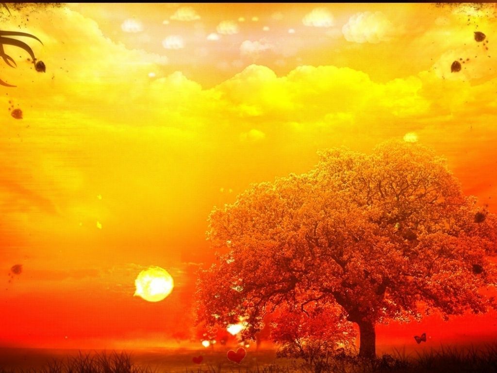 Orange Tree & Yellow Sky wallpaper .com