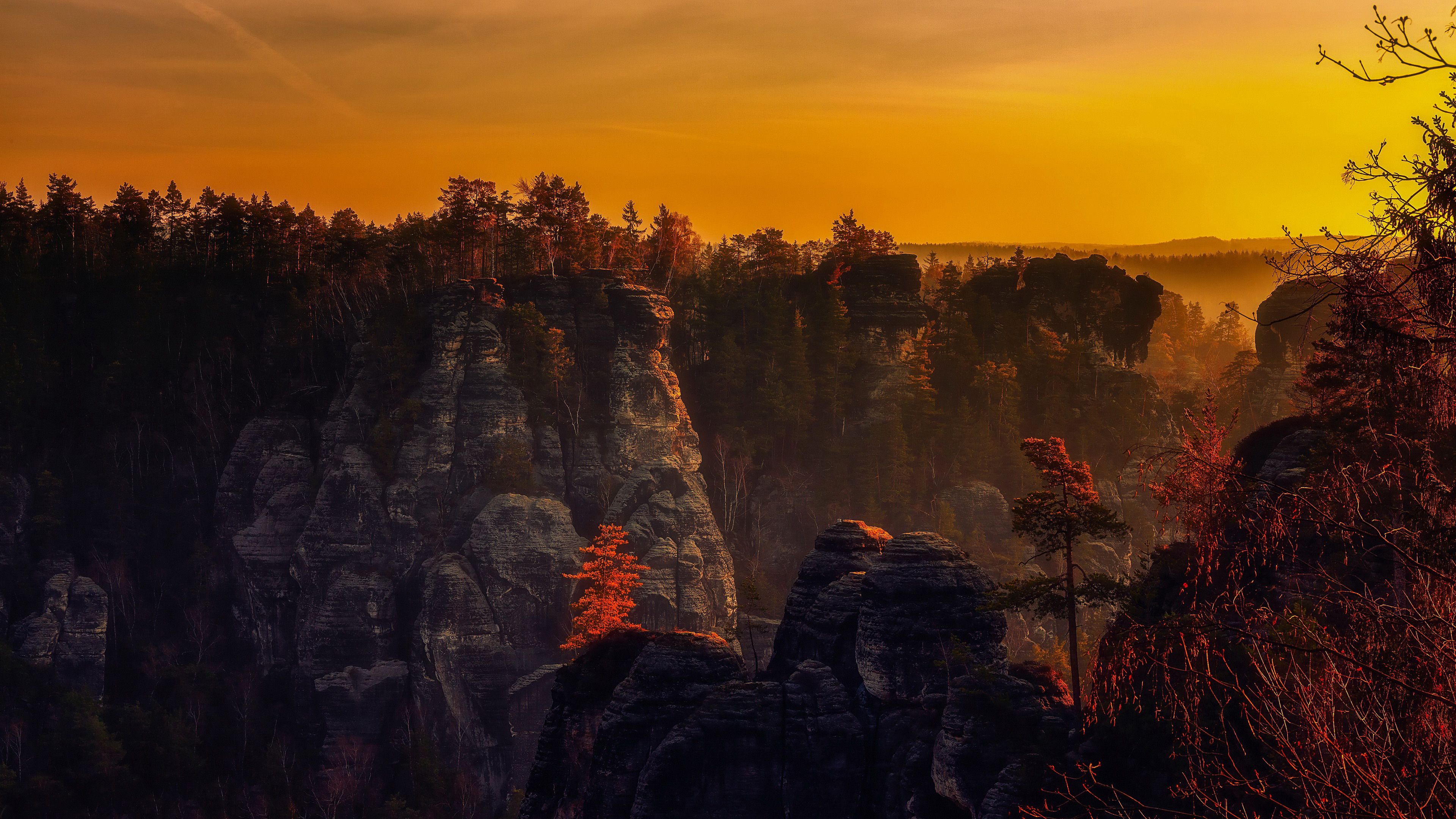 Rock Mountain And Trees Under Yellow .hdwallpaper.in