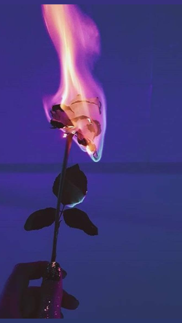 Aesthetic Rose On Fire Png .sadistria.blogspot.com