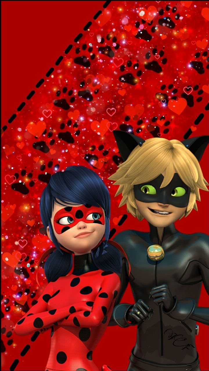 Miraculous Cat Noir Wallpaper HD 2020 .com