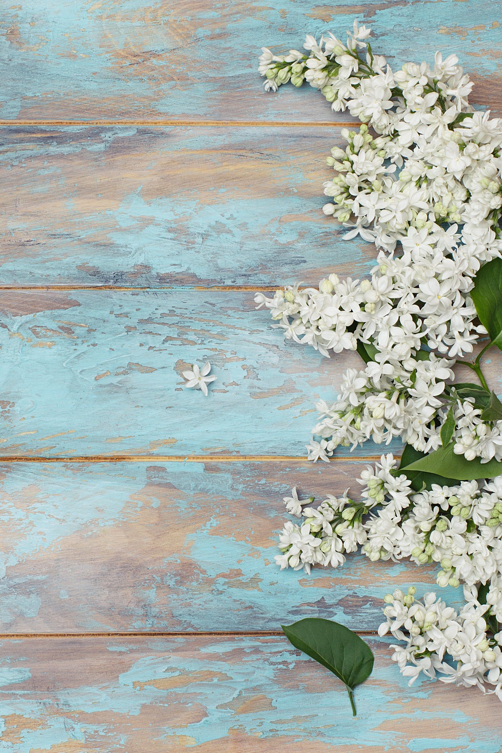 Rustic Flower Background