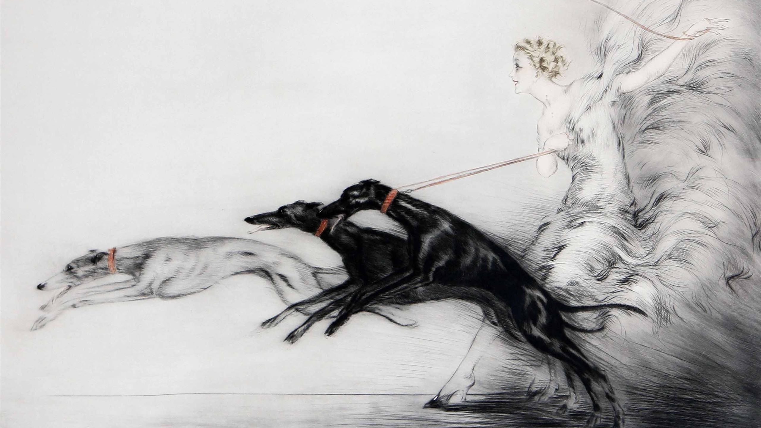 Greyhounds Drawing Mac Wallpaper .allmacwallpaper.com