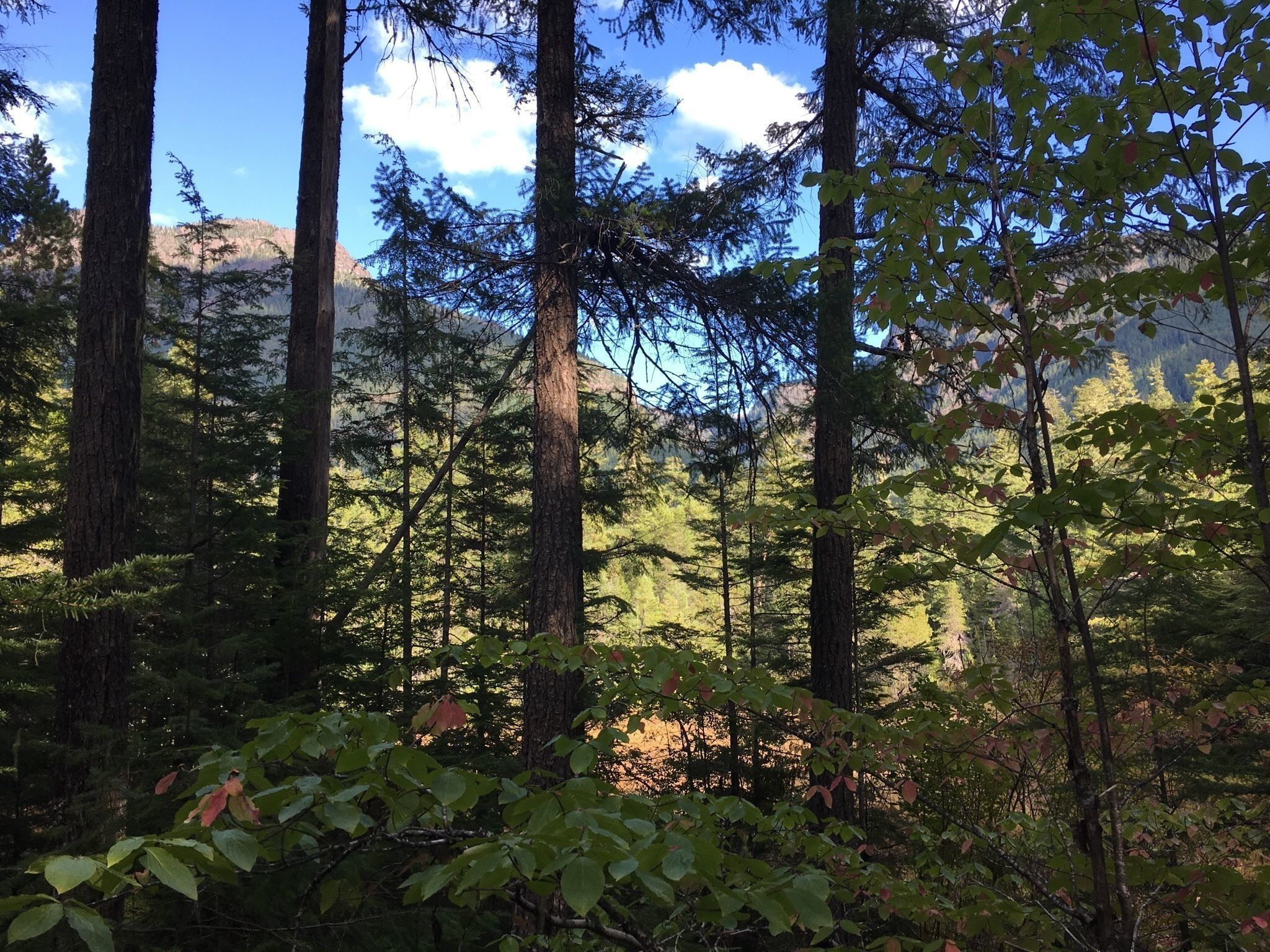 Photos of Strathcona Provincial Park .alltrails.com