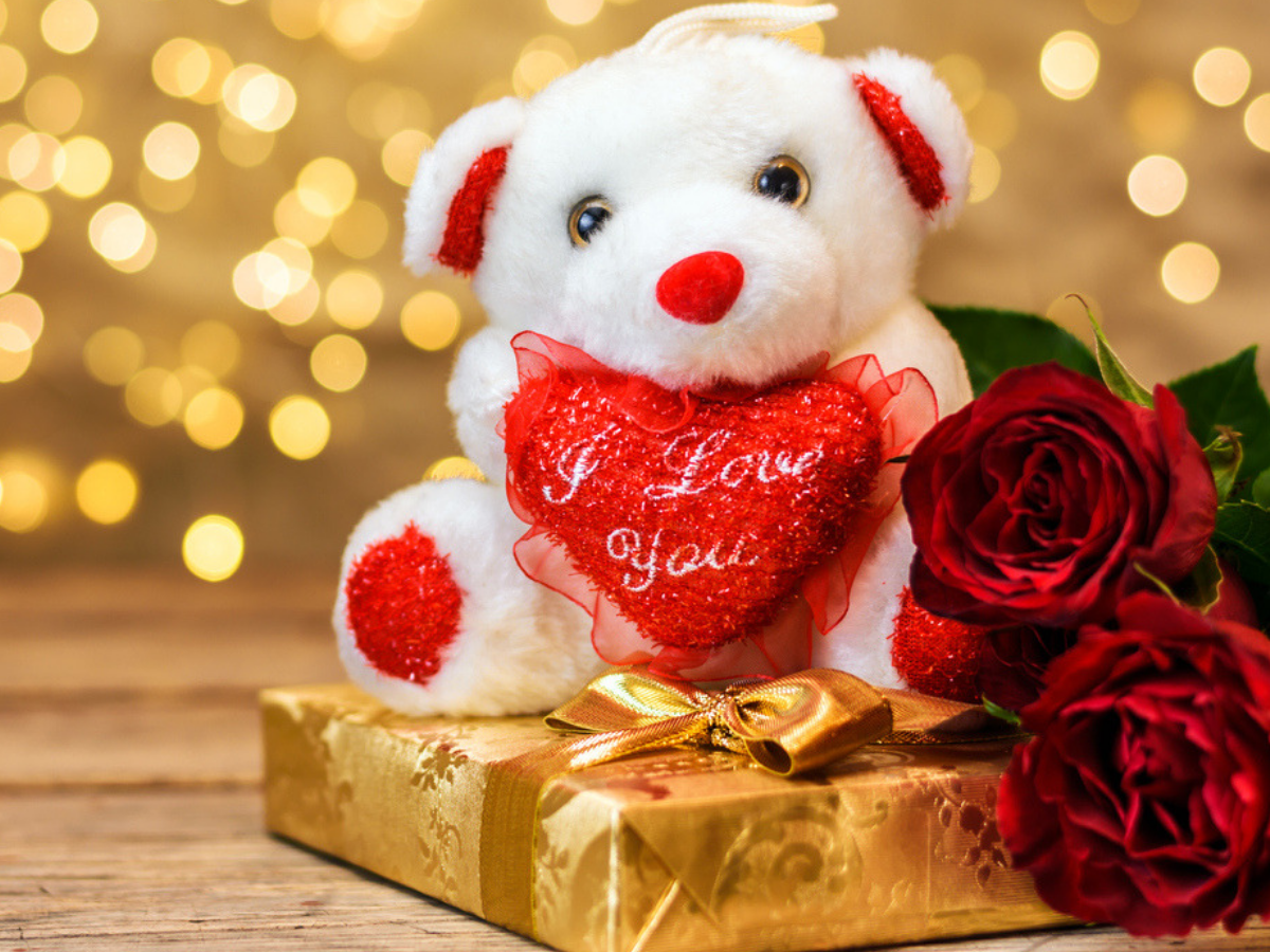 Valentine's Week: Happy Teddy Day 2020 .timesofindia.indiatimes.com