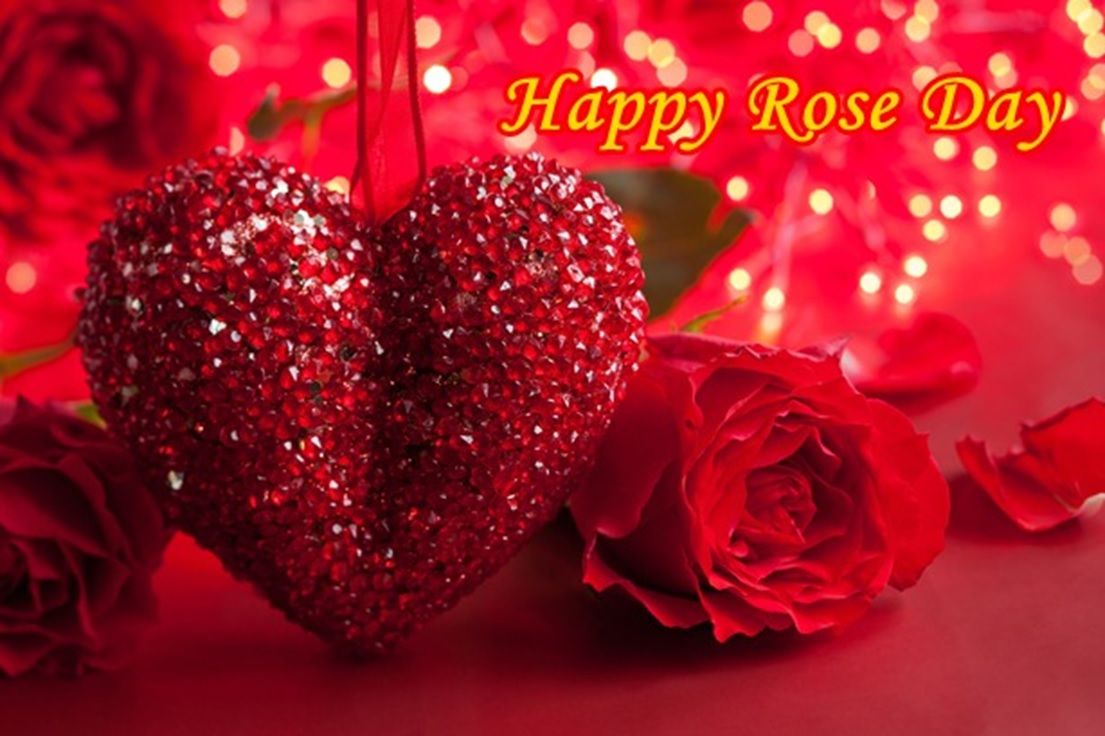 Rose Day Image HD Wallpaper