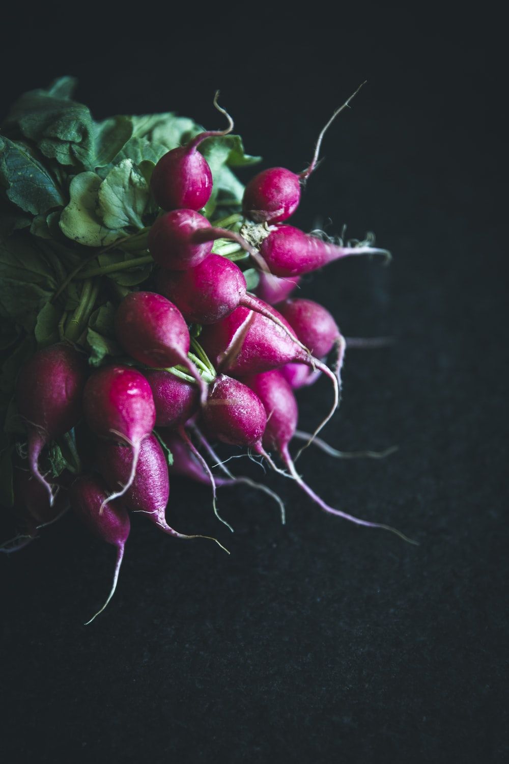 Radish Picture. Download Free Image .com