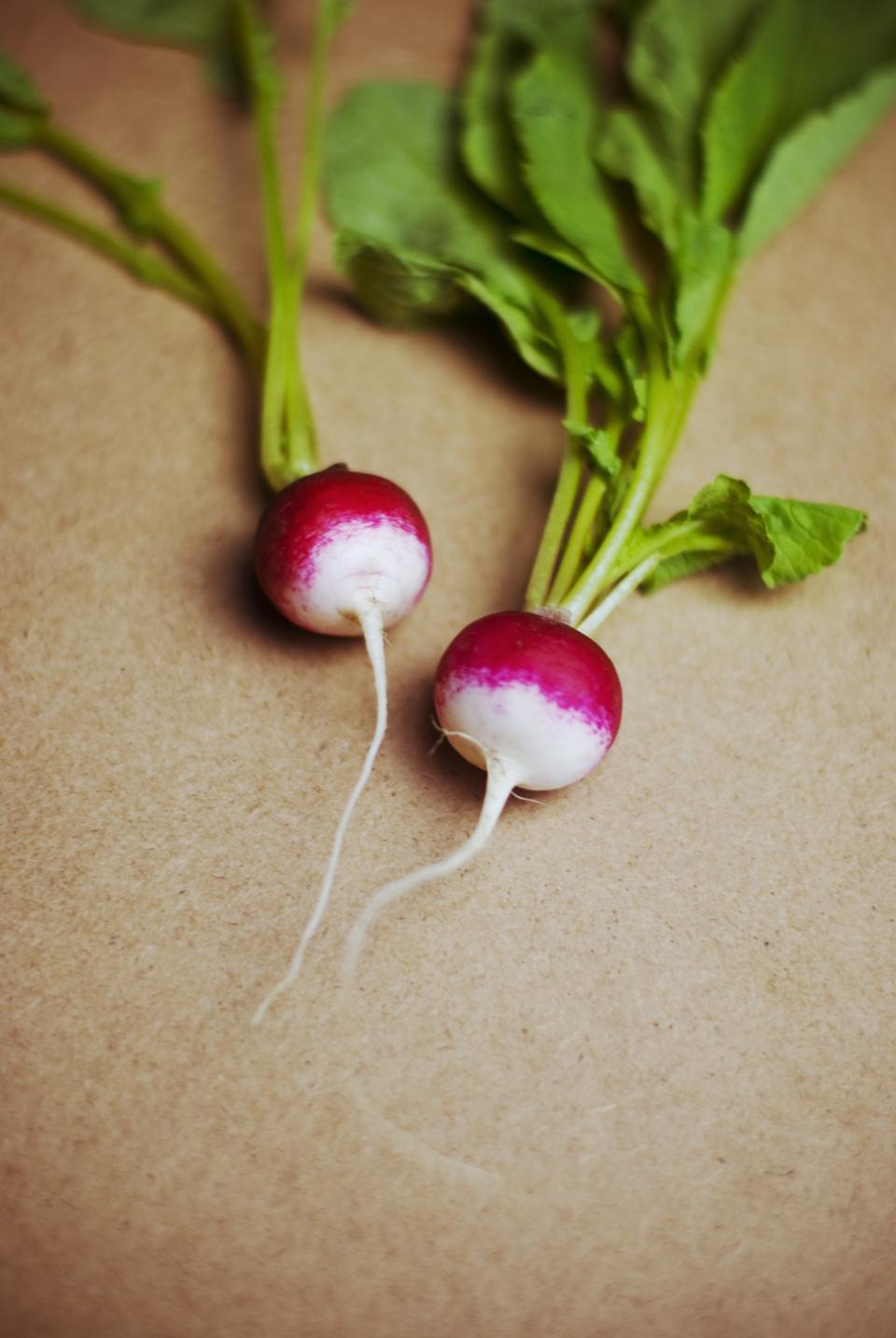 photo of radish vegetables on Stocksnap.iostocksnap.io