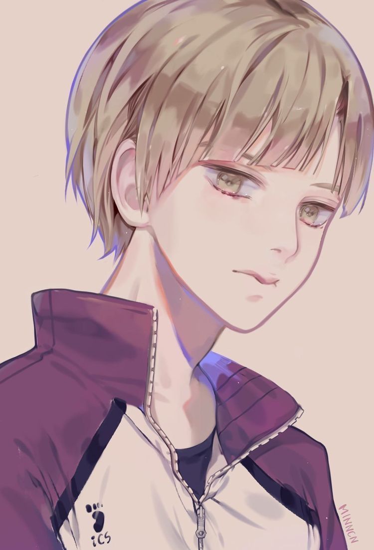 Haikyuu manga, Haikyuu animear.com