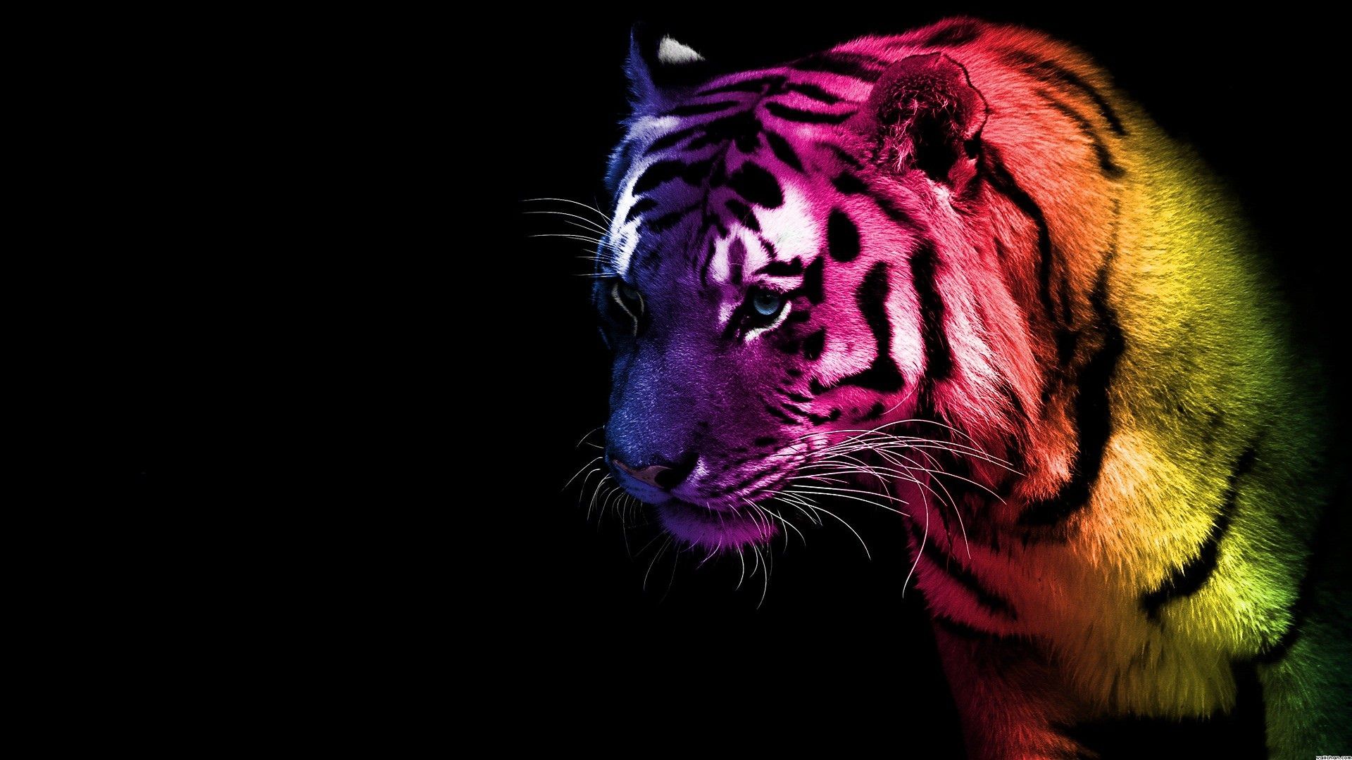 3D Neon Rainbow Tiger .line.17qq.com