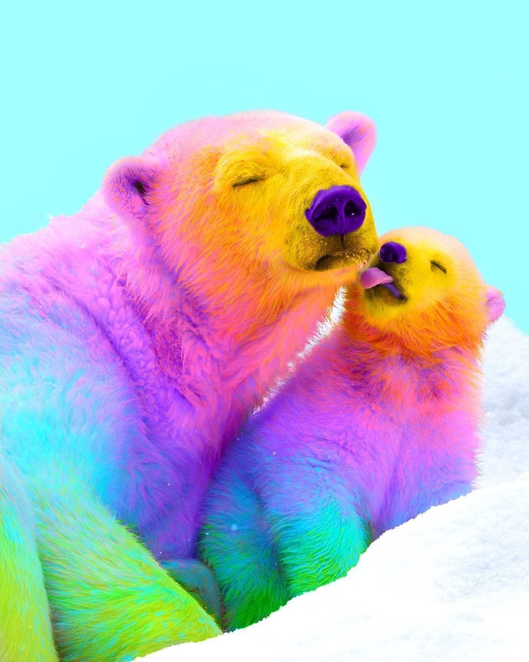 Colorful animals, Cute .com