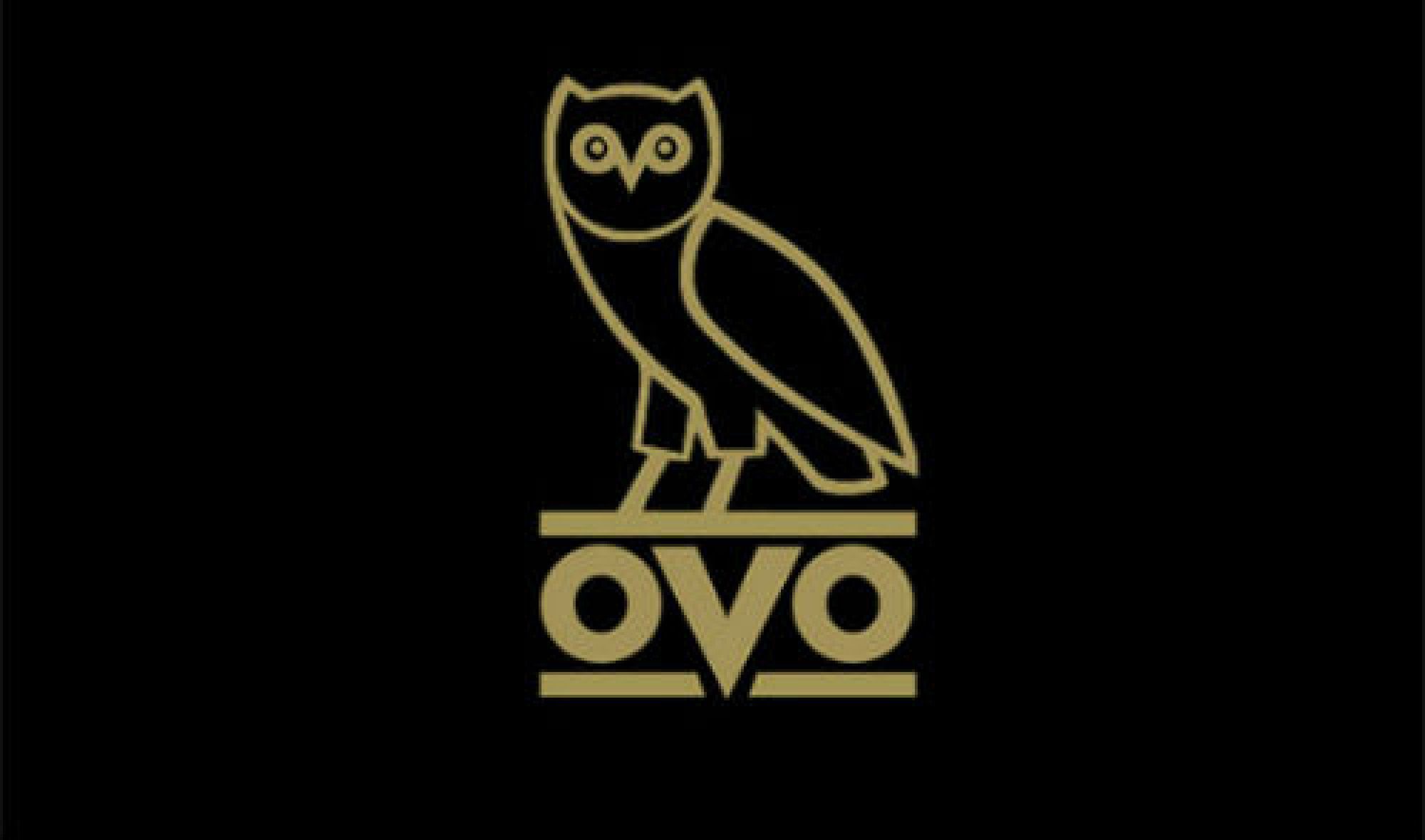 Drake Owl Wallpaper Phone 0 To .itl.cat