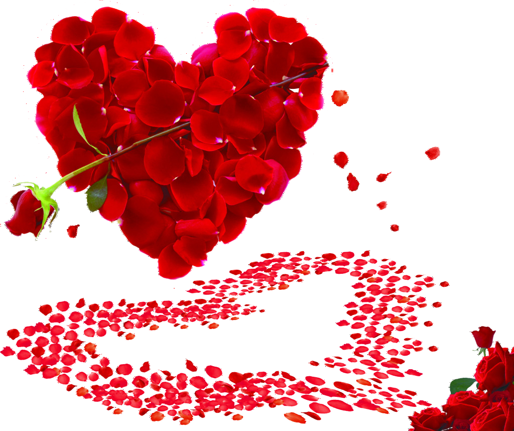 Valentine's Day Rose Propose Wallpapers Wallpaper Cave