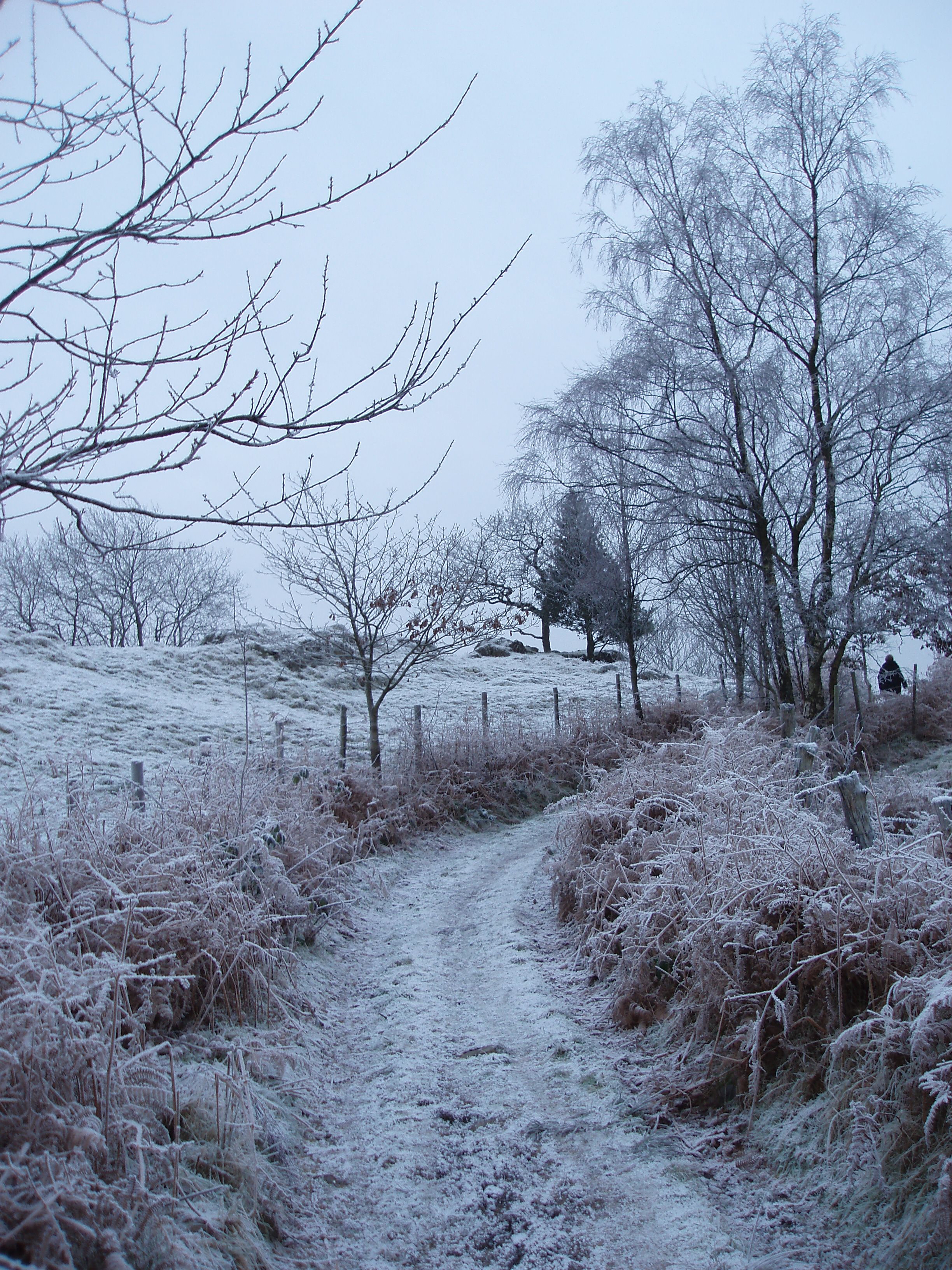 Winter country. Ollane зима. Snowy Country. Wallpaper mobile Snow Country.