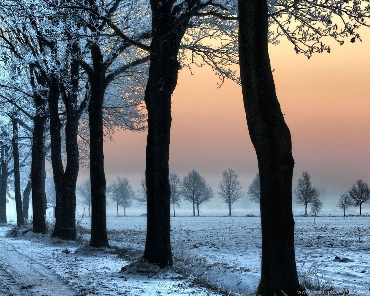 Country Road On A Winter Sunset .desktopbackground.org