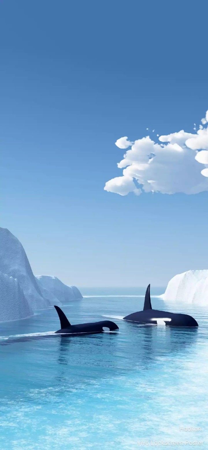 Orca Ice Wallpapers Wallpaper Cave