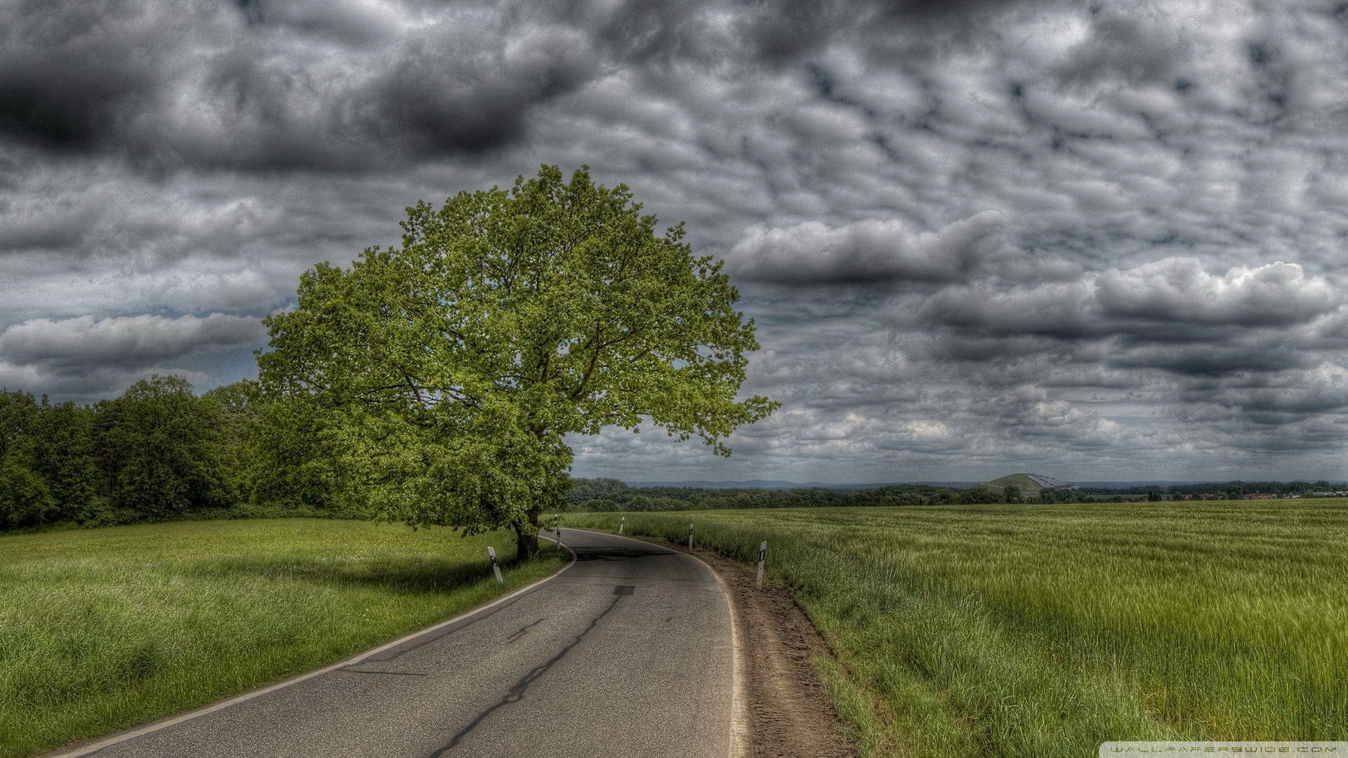 Standard On Country Road .itl.cat