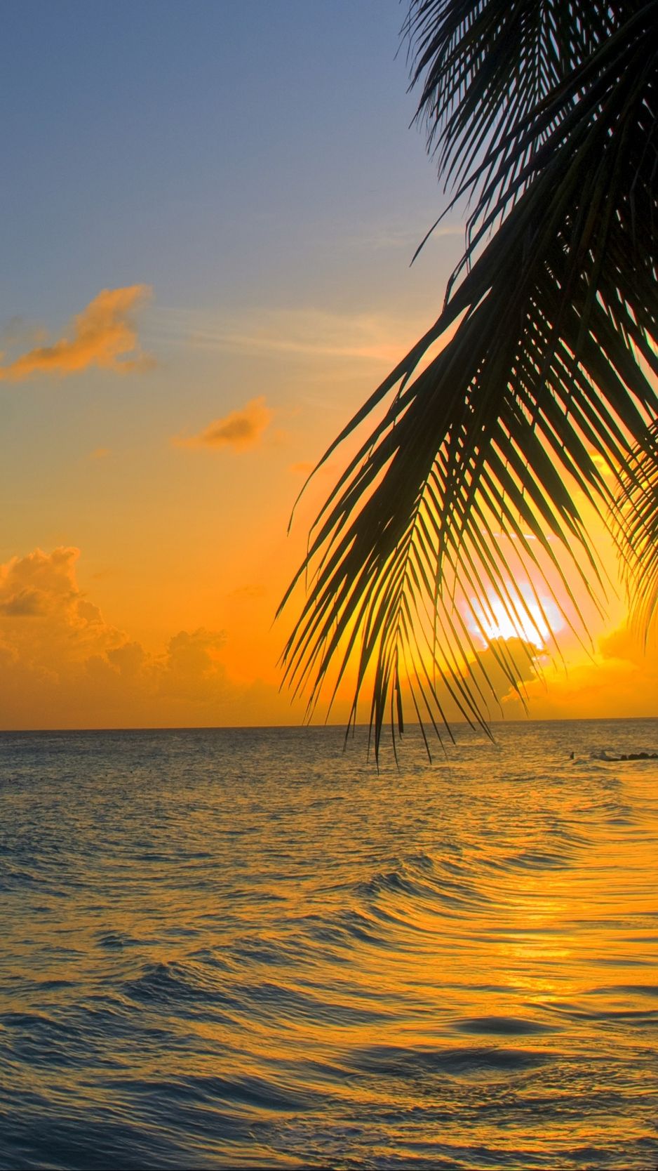 Wallpaper Ocean, Sunset, Palm, Beach .teahub.io