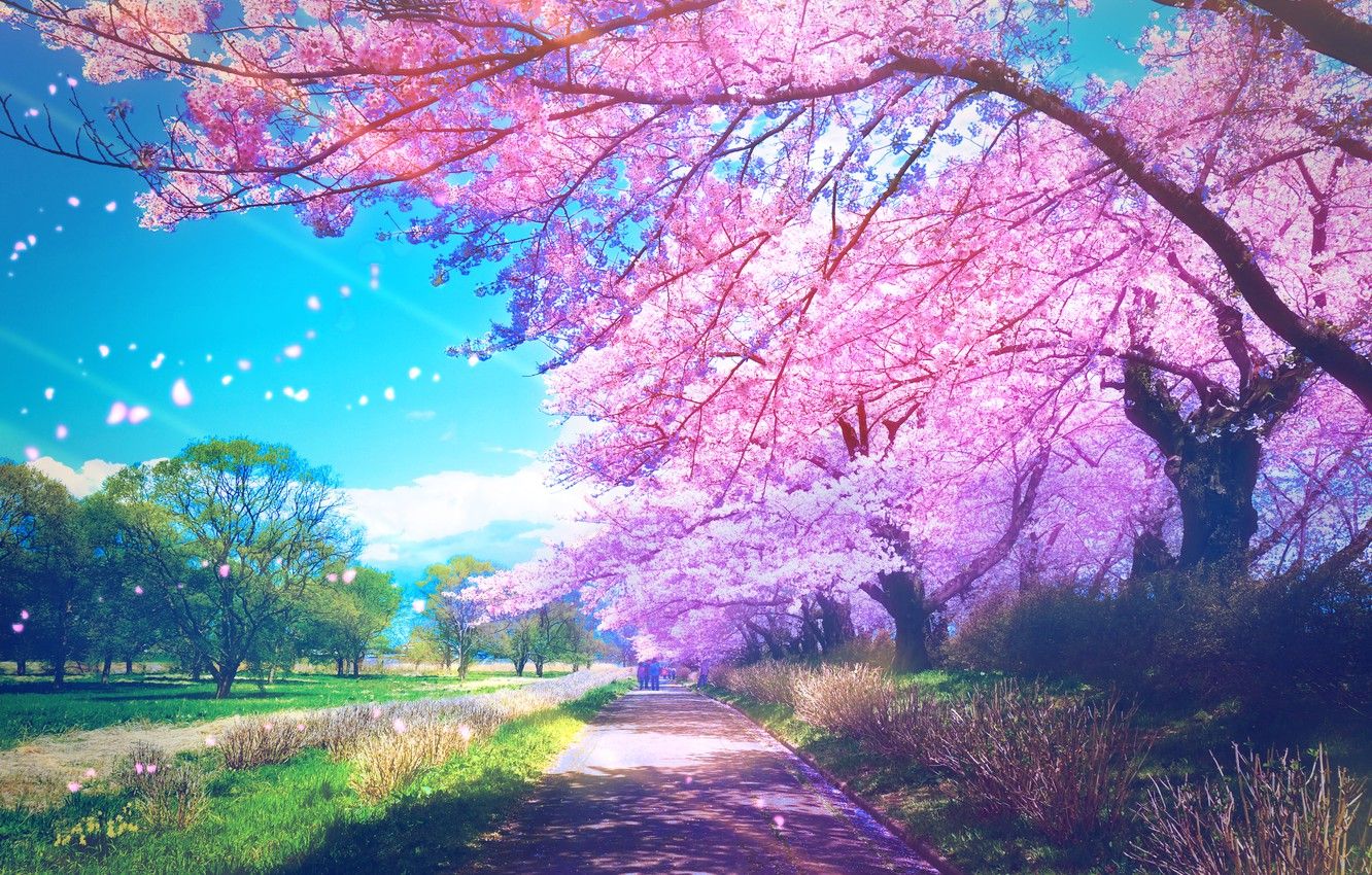 Anime Park Wallpapers - Wallpaper Cave