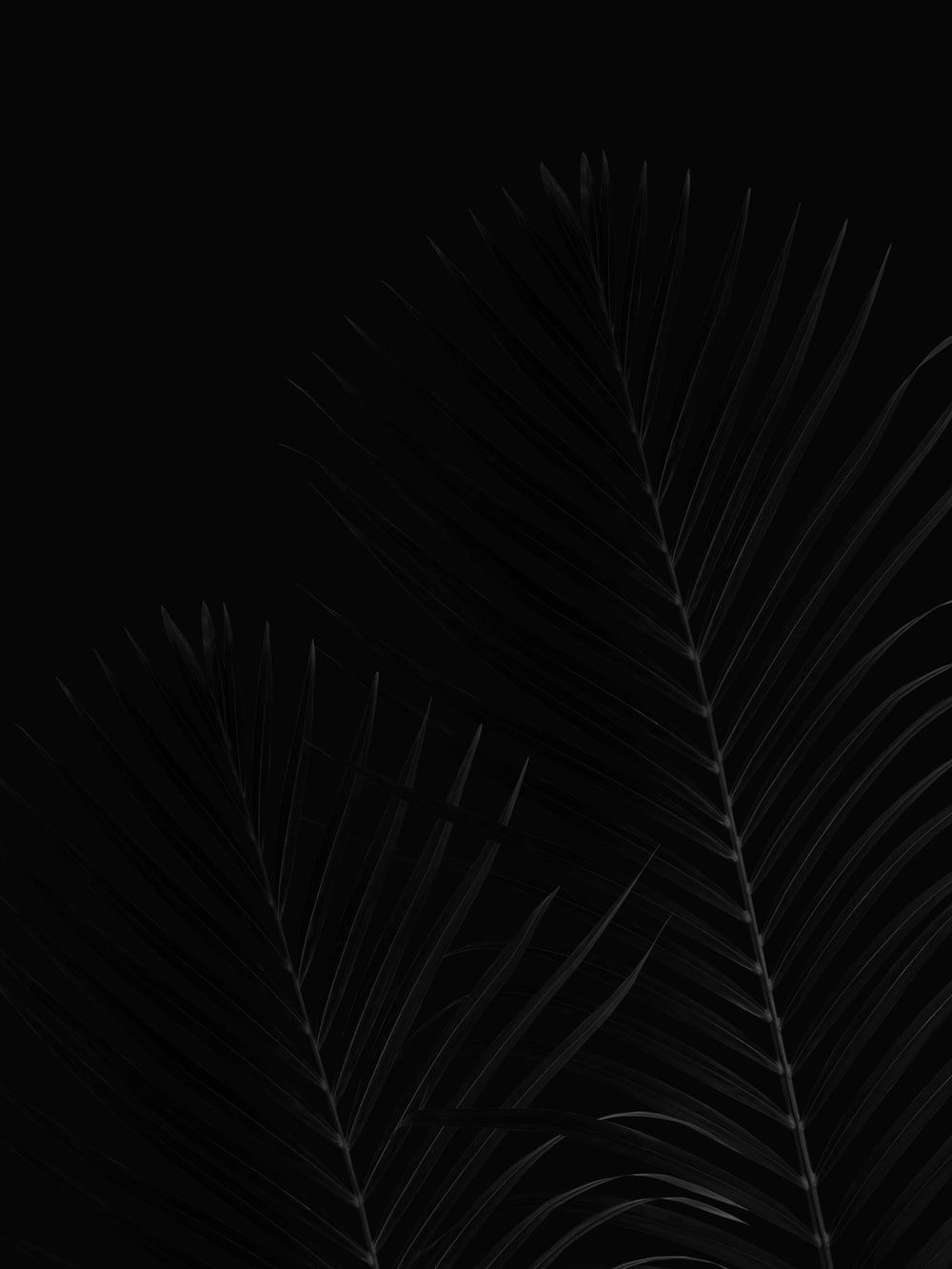 AMOLED Wallpaper: Free HD Download .com