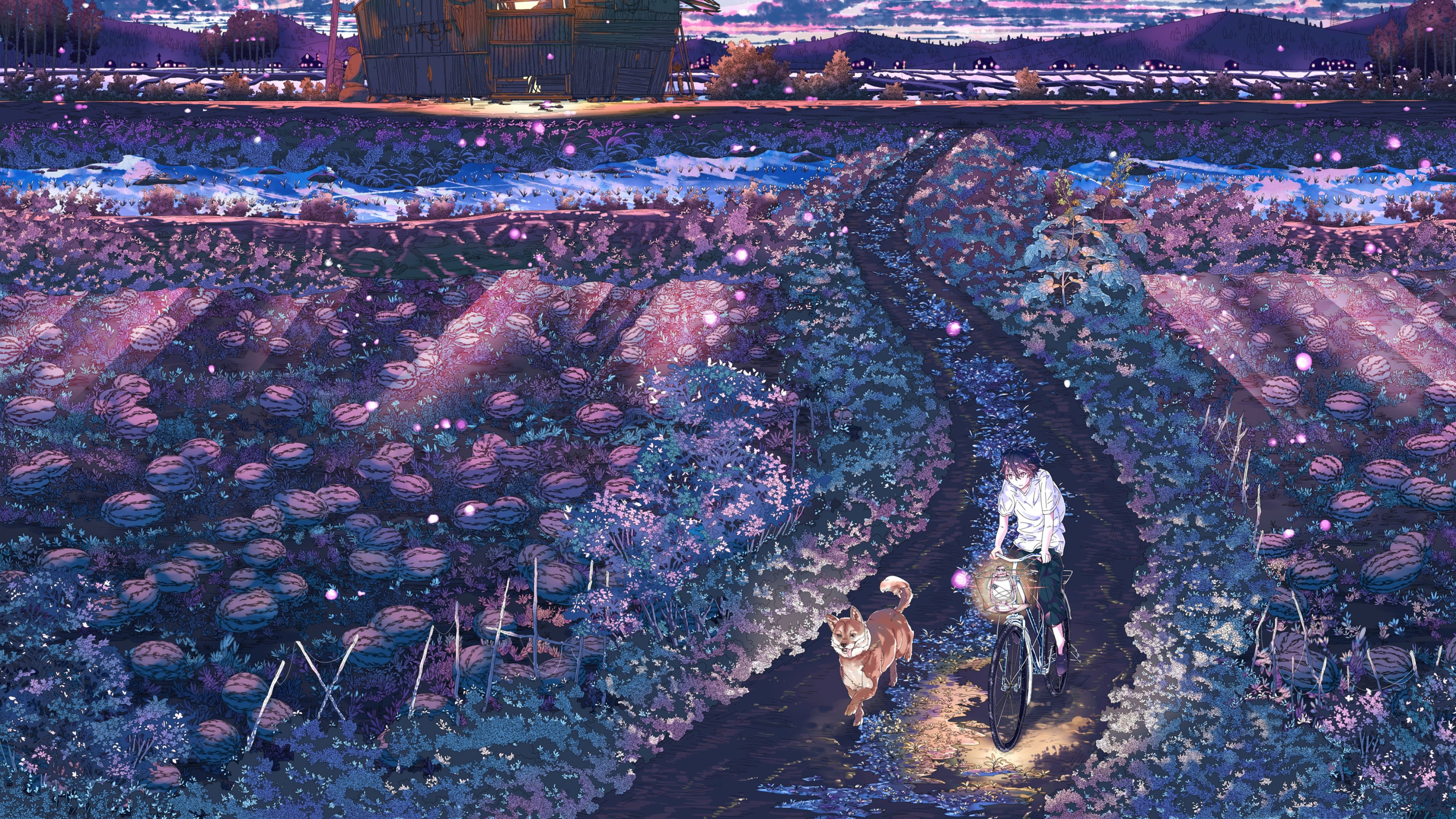 Resolution HD 4k Wallpaper .hdqwalls.com