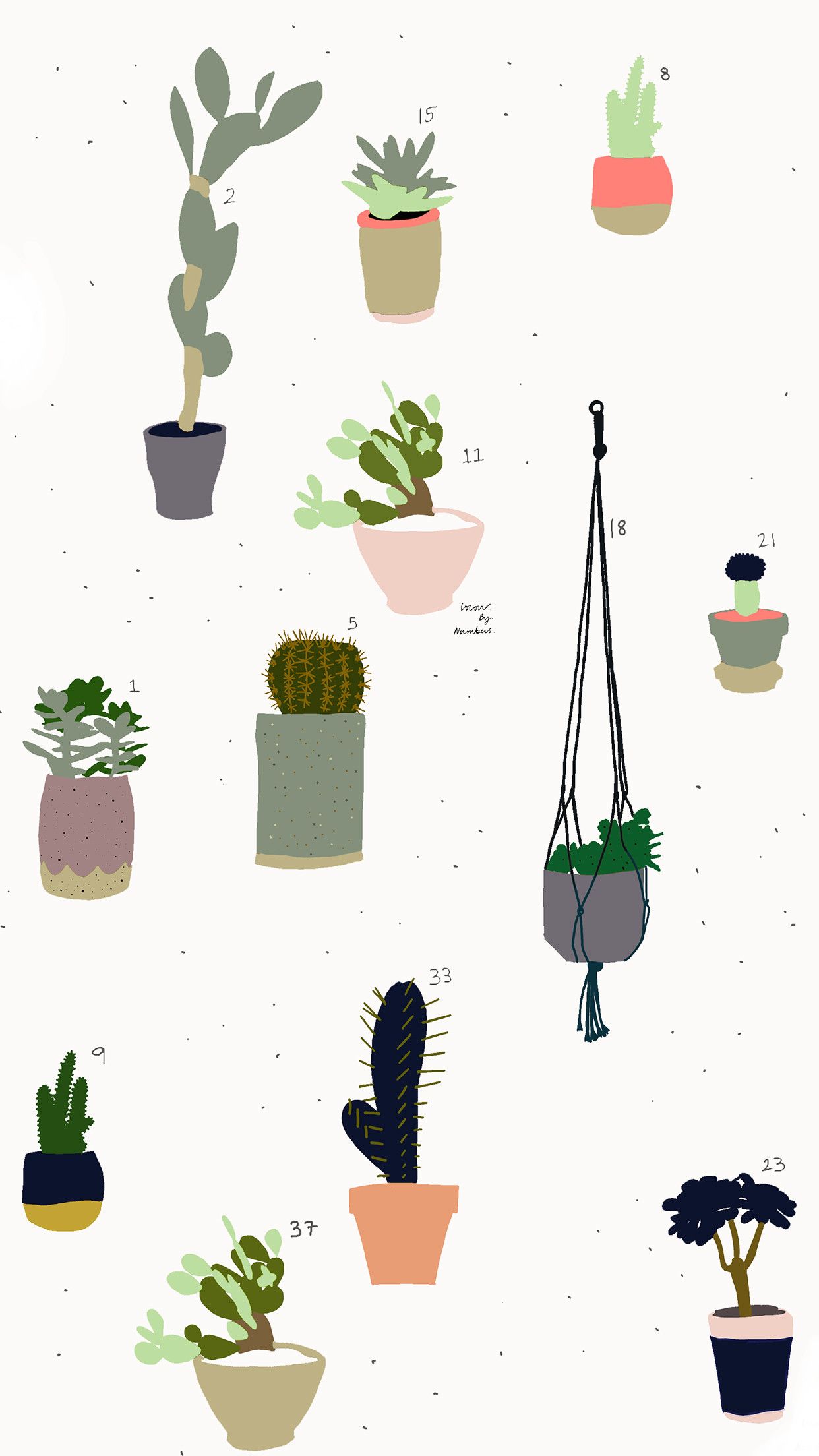 Desktop Cactaceae Succulent plant Home screen cactus grass cactus  mobile Phones png  PNGWing