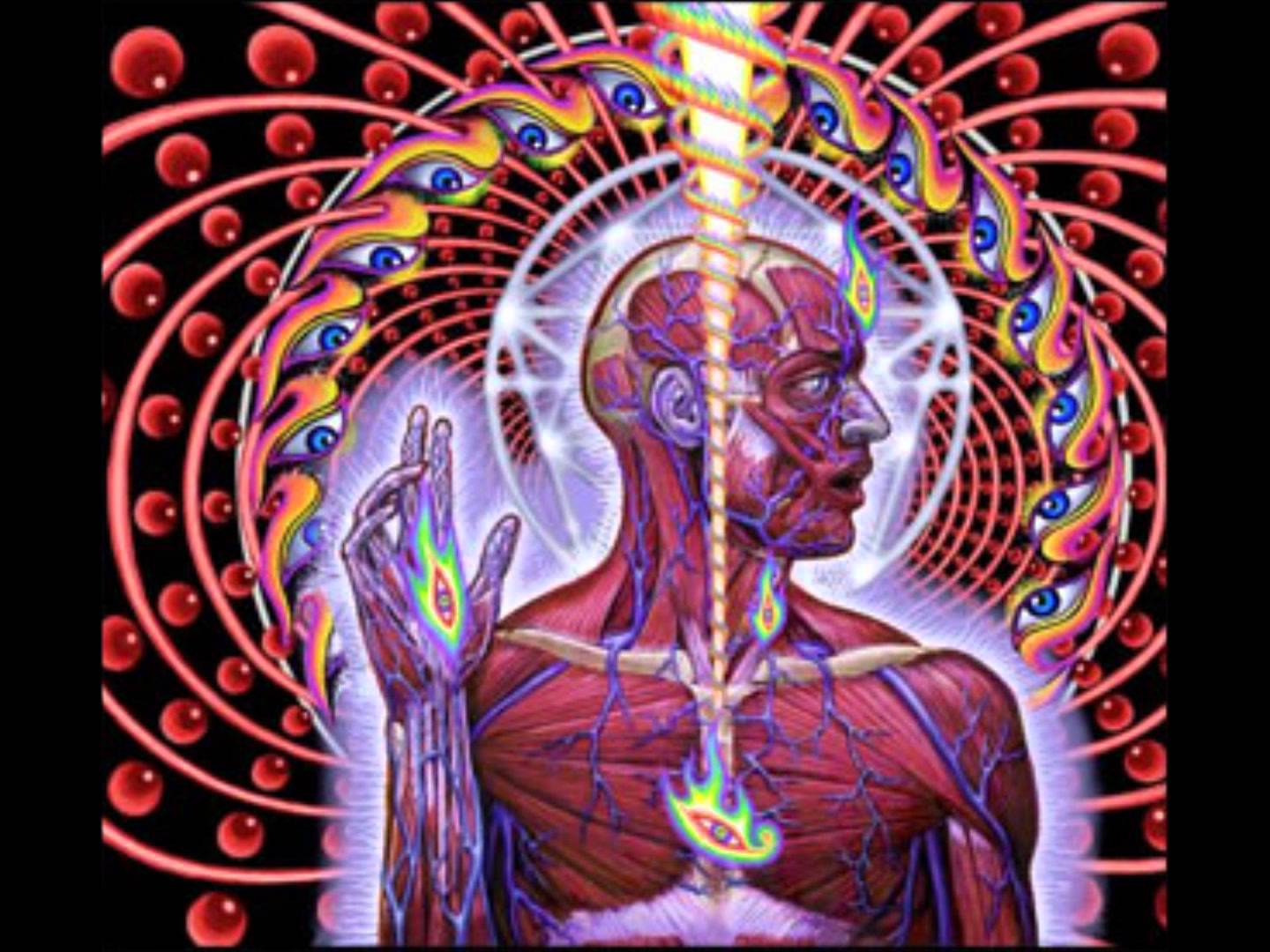Tool Lateralus .wallpapertip.com