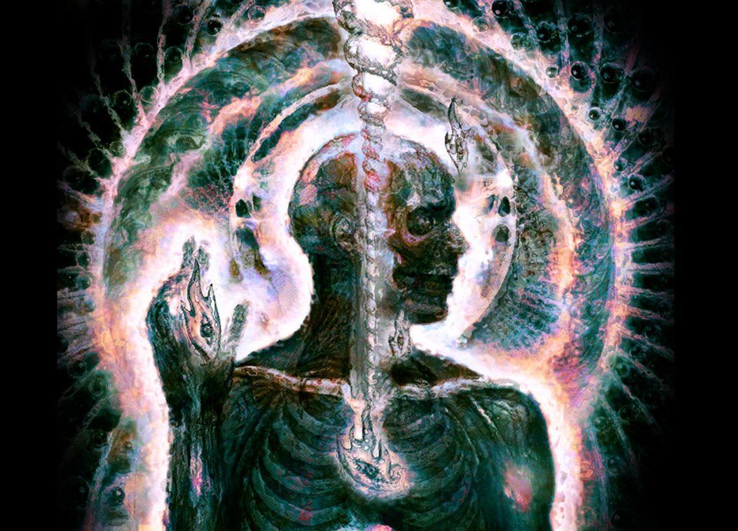 Lateralus By Tool Band On .com